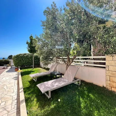 Daire Blue With Shared Pool